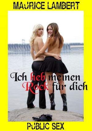 Cover of the book Ich heb meinen Rock für Dich by Dr. Angela Fetzner