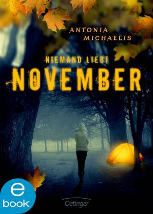 Cover of the book Niemand liebt November by Stephanie Tromly, Carolin Liepins, Christiane Schultz