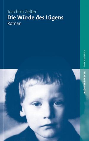 Cover of the book Die Würde des Lügens by Michael Steinbrecher, Mathias Jung, Martin Müller