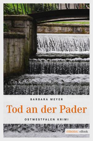 Cover of the book Tod an der Pader by Rudolf Jagusch