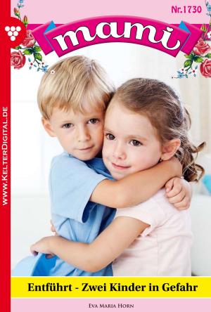 bigCover of the book Mami 1730 – Familienroman by 