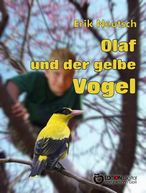 Cover of the book Olaf und der gelbe Vogel by Erwin Johannes Bach