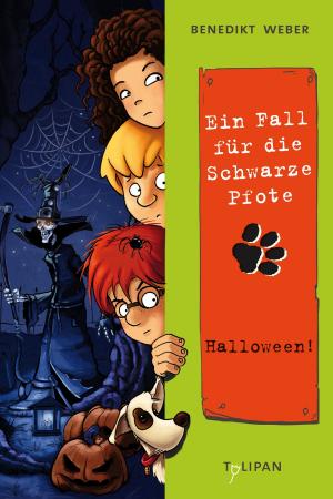 Cover of the book Ein Fall für die Schwarze Pfote: Halloween! by Martin Klein