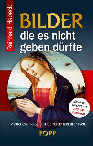 Cover of the book Bilder, die es nicht geben dürfte by Stephan Berndt
