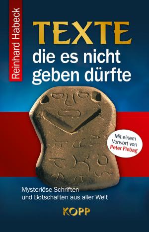 Cover of the book Texte, die es nicht geben dürfte by Brigitte Hamann