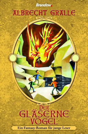 Cover of the book Der gläserne Vogel by Adrian Plass