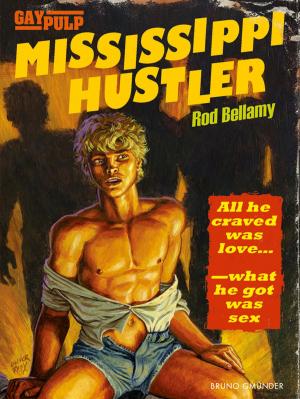Cover of the book Mississippi Hustler by Sascha Kern