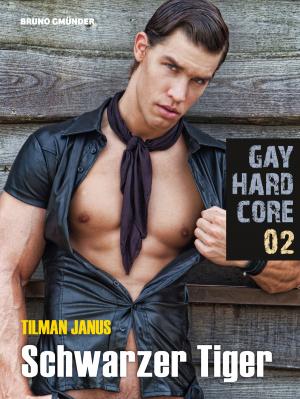 Cover of the book Gay Hardcore Quickie 02: Schwarzer Tiger by Tilman Janus