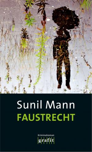 Cover of the book Faustrecht by Jan Zweyer