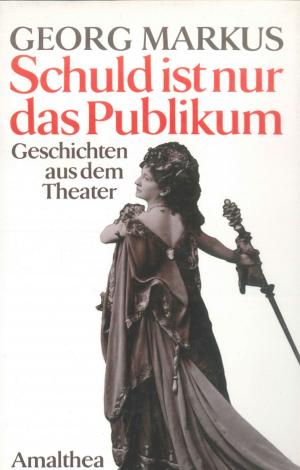 Cover of the book Schuld ist nur das Publikum by Konrad Kramar, Beppo Beyerl