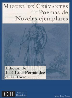 Cover of the book Poesías, II: En las Novelas ejemplares by José de Cañizares