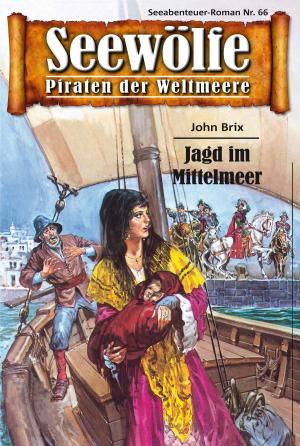 Book cover of Seewölfe - Piraten der Weltmeere 66