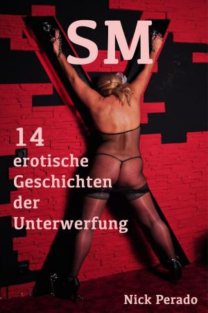 Book cover of SM - 14 erotische Geschichten der Unterwerfung