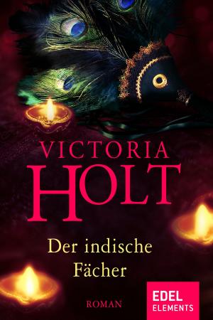 Cover of the book Der indische Fächer by Heike Wanner