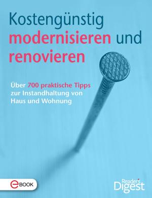 Cover of the book Kostengünstig modernisieren und renovieren by Karen Solomon