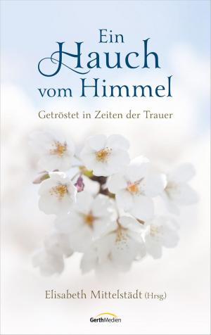 Cover of the book Ein Hauch vom Himmel by Max Lucado