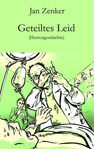 Cover of the book Geteiltes Leid by Jan Zenker