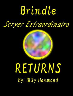 Book cover of Brindle - Scryer Extraordinaire - Returns