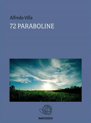 Cover of the book 72 Paraboline by James Caso