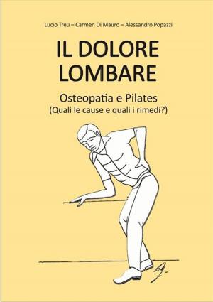 Cover of the book Il dolore lombare by Gerald Perlman, PhD