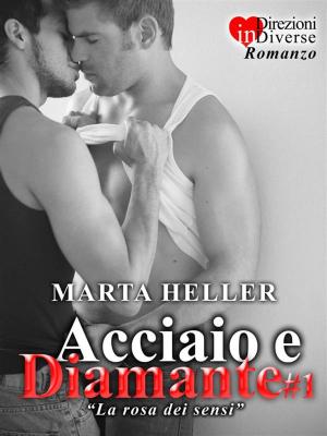 Book cover of Acciaio e Diamante#1
