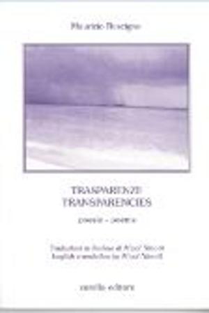 Cover of the book Transparencies by Jasmin P. Meranius
