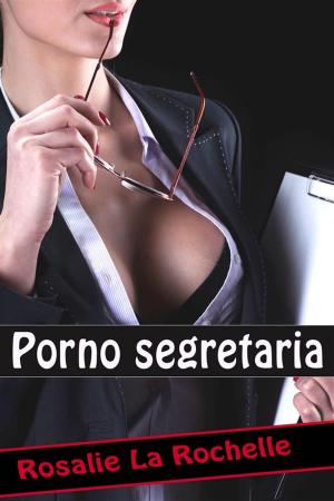 Cover of the book Porno segretaria by Rosalie La Rochelle