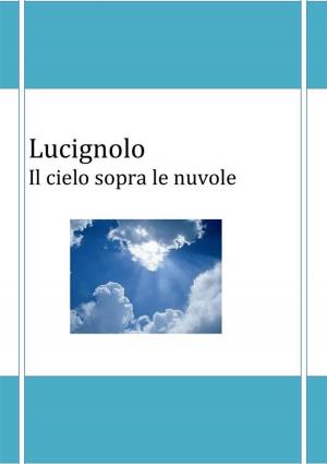 Cover of the book Il cielo sopra le nuvole by Andrew Kneier