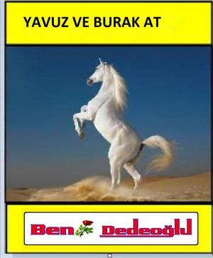 Cover of the book Yavuz Ve Burak At by Bengül Dedeoğlu
