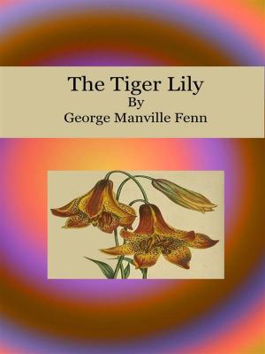 Book cover of The Tiger Lily