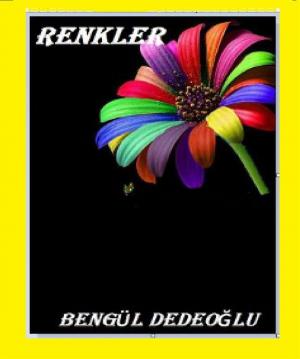 Cover of the book Renkler by Bengül Dedeoğlu
