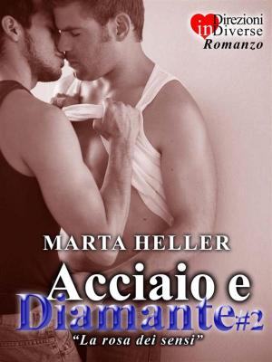 bigCover of the book Acciaio e Diamante#2 by 