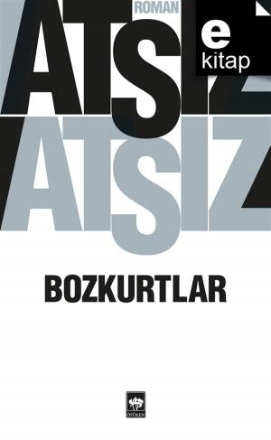 Cover of the book Bozkurtlar by Cengiz Dağcı