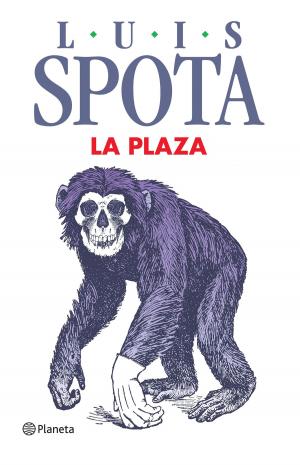 Cover of the book La plaza by Moruena Estríngana