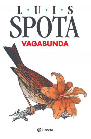 Cover of the book Vagabunda by Linda Liukas