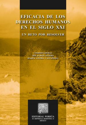 Cover of the book Eficacia de los Derechos Humanos en el siglo XXI: Un reto por resolver by Ricardo Guzmán Wolffer