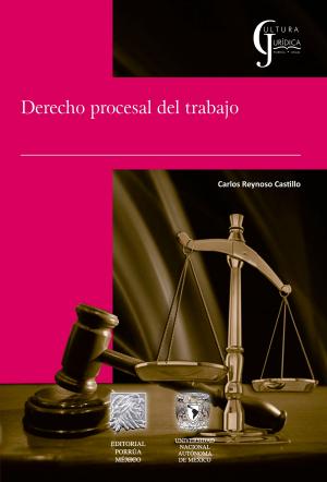 Cover of the book Derecho Procesal del Trabajo by Julio Verne
