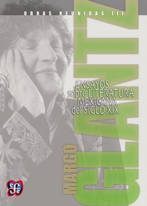 Cover of the book Obras reunidas III. Ensayos sobre la literatura popular mexicana del siglo XIX by Julio Scherer García