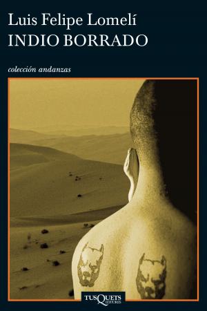 Cover of the book Indio borrado by Cristina Quiñones