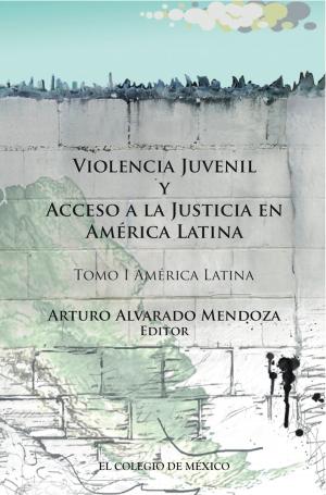 Cover of Violencia juvenil y acceso a la justicia.