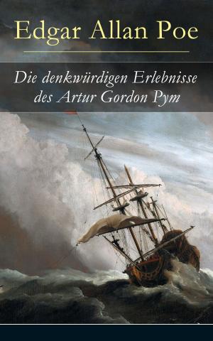 Cover of the book Die denkwürdigen Erlebnisse des Artur Gordon Pym by Charles Darwin