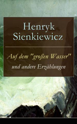 Cover of the book Auf dem "großen Wasser" und andere Erzählungen by Nikolai Gogol