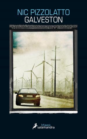 Cover of the book Galveston by Andrea Camilleri