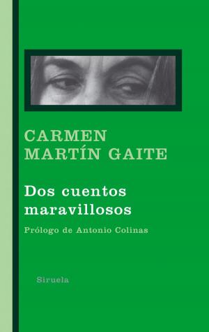 Cover of the book Dos cuentos maravillosos by Cees Nooteboom, Connie Palmen