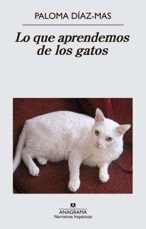 Cover of the book Lo que aprendemos de los gatos by Milena Busquets