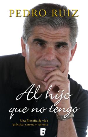 Cover of the book Al hijo que no tengo by Clara Peñalver