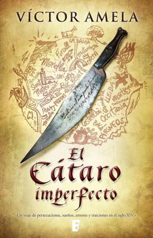 Cover of the book El Cátaro imperfecto by Vincent Zandri