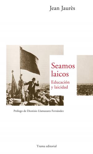 Cover of the book Seamos laicos by Elena Rius, Lorenzo Silva