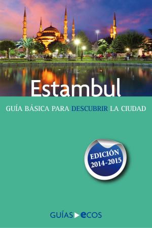 Cover of the book Estambul by 
