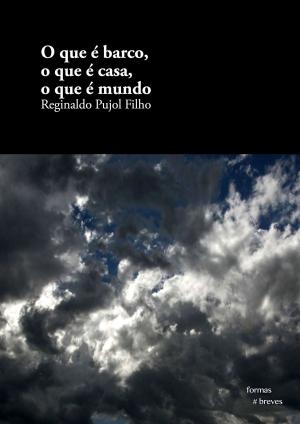 Cover of the book O que é barco, o que é casa, o que é mundo by Daniela Lima, Ricardo Lísias